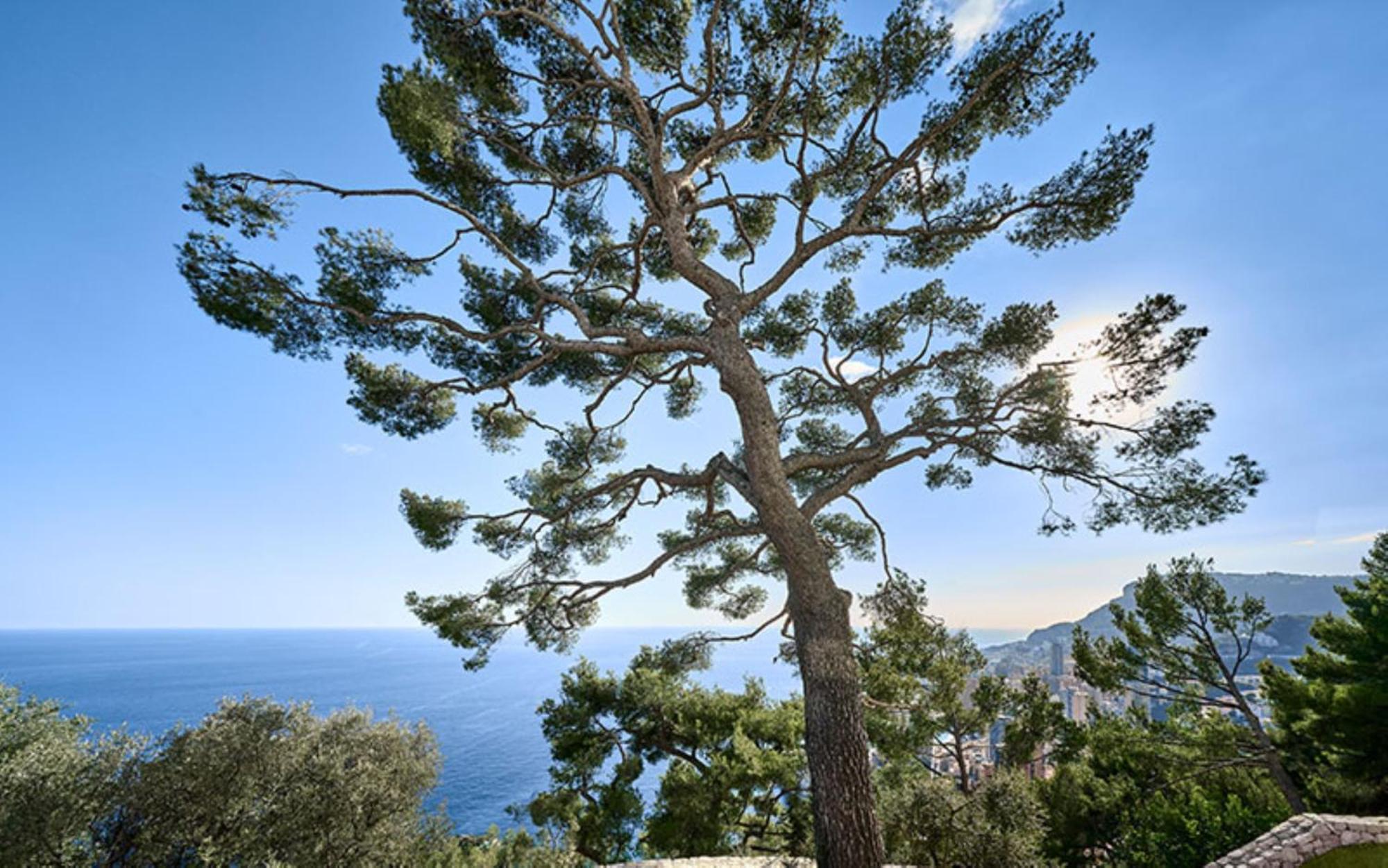 The Maybourne Riviera, Maybourne Hotel Collection Roquebrune-Cap-Martin Exterior photo